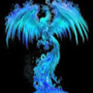 Meet your Posher, Phoenix